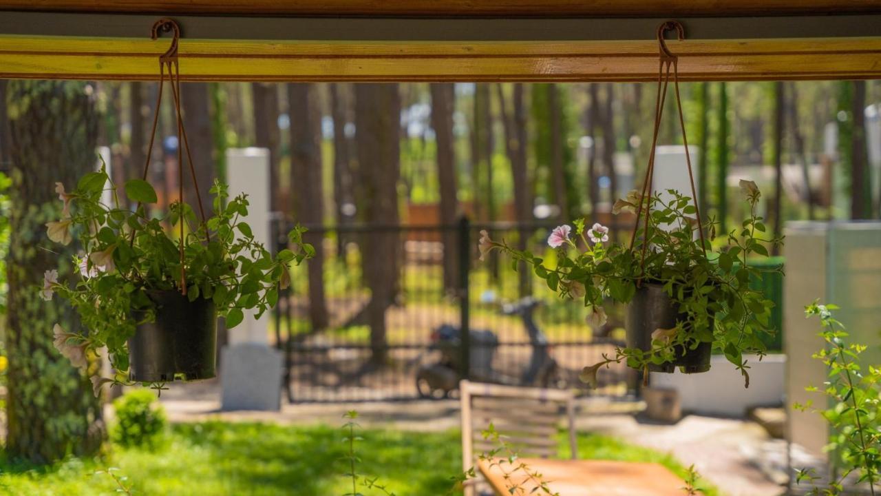 Shekvetili Big Wonder Villa Екстериор снимка