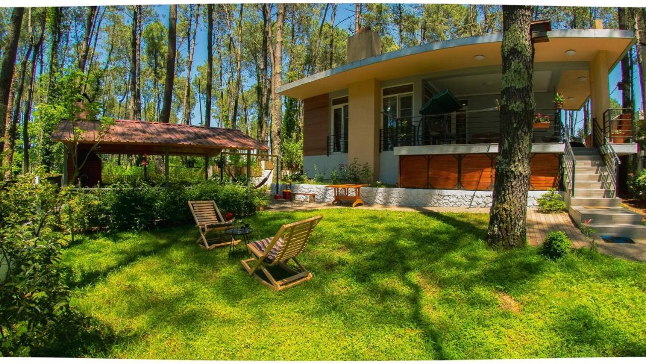 Shekvetili Big Wonder Villa Екстериор снимка