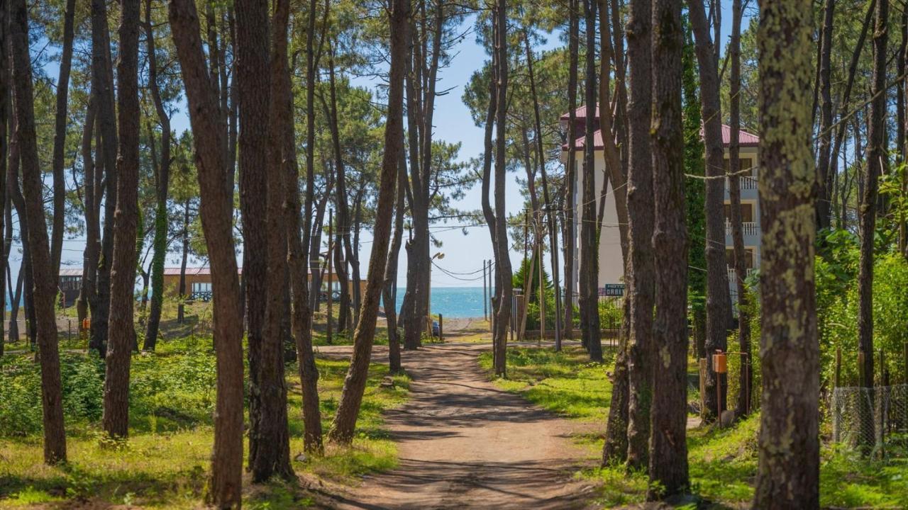 Shekvetili Big Wonder Villa Екстериор снимка