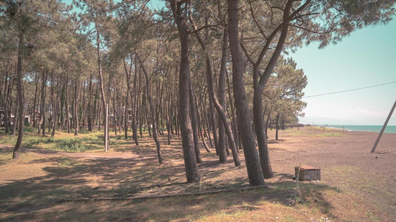 Shekvetili Big Wonder Villa Екстериор снимка