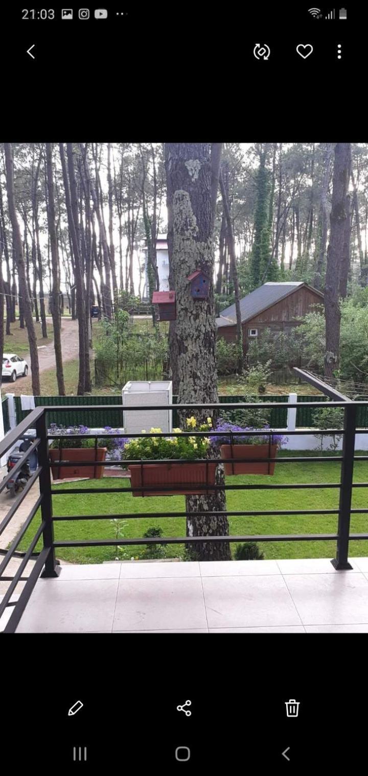 Shekvetili Big Wonder Villa Стая снимка