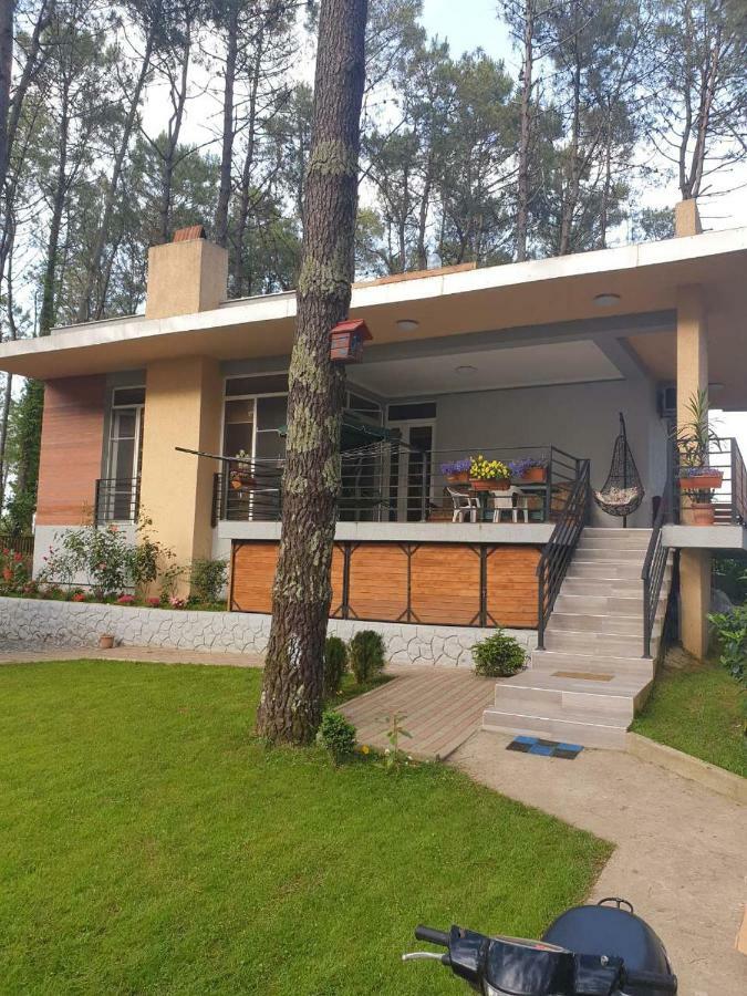 Shekvetili Big Wonder Villa Екстериор снимка